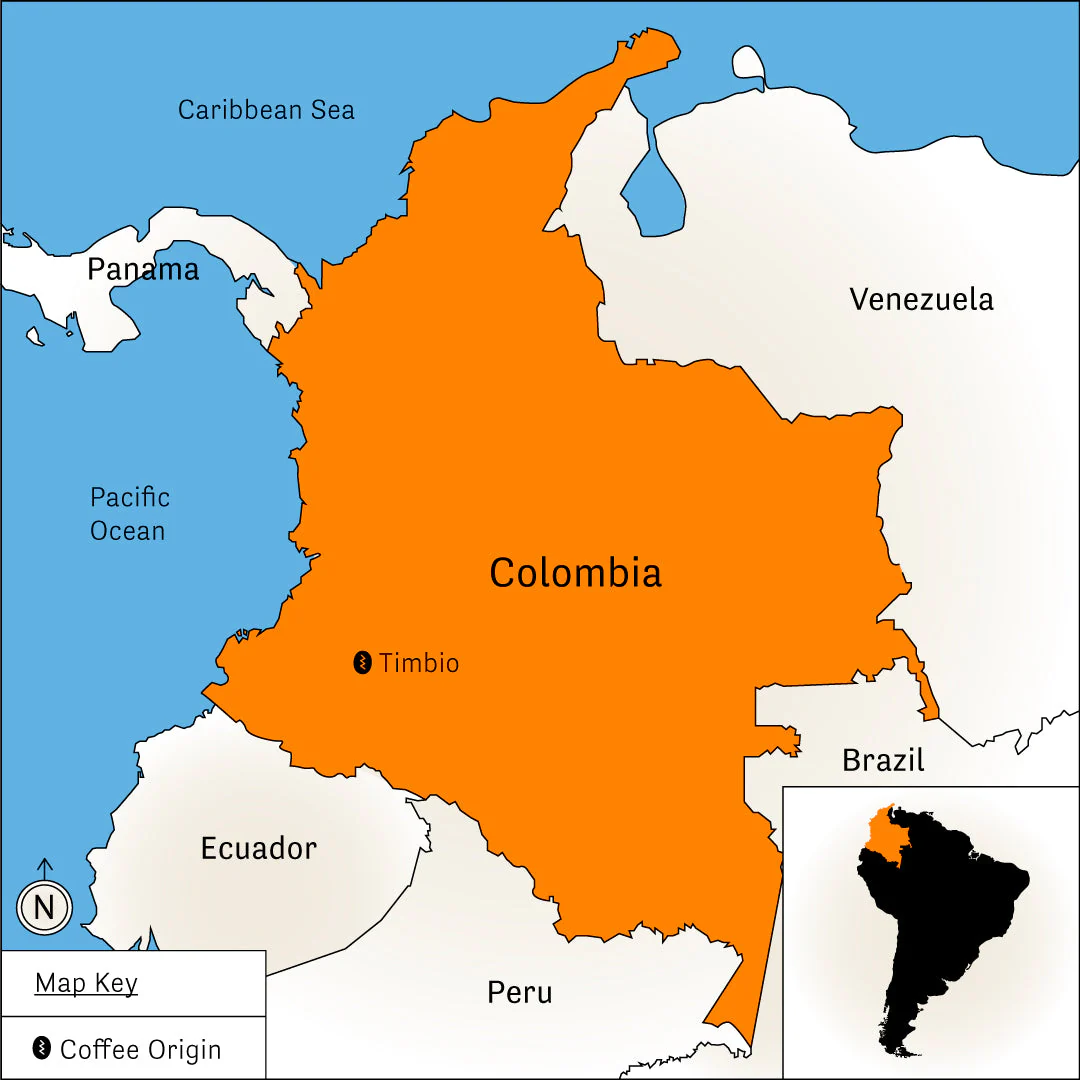 La Golondrina - Image 6