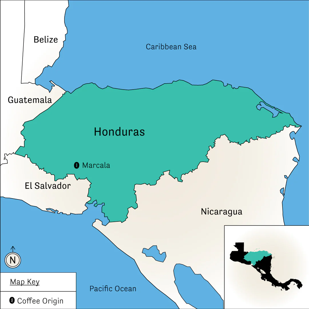 Finca El Puente - Image 5