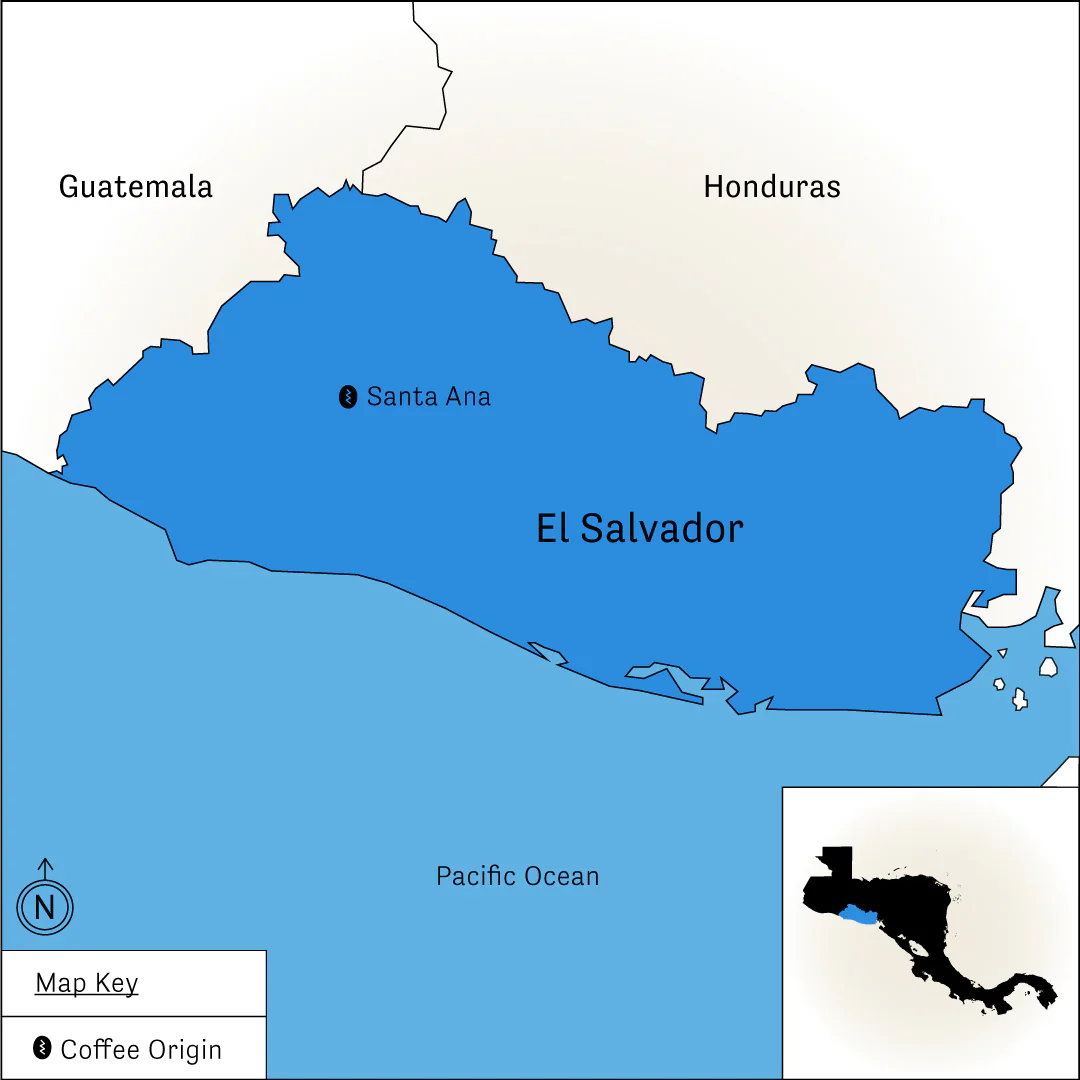Finca Santa Elena - Image 3
