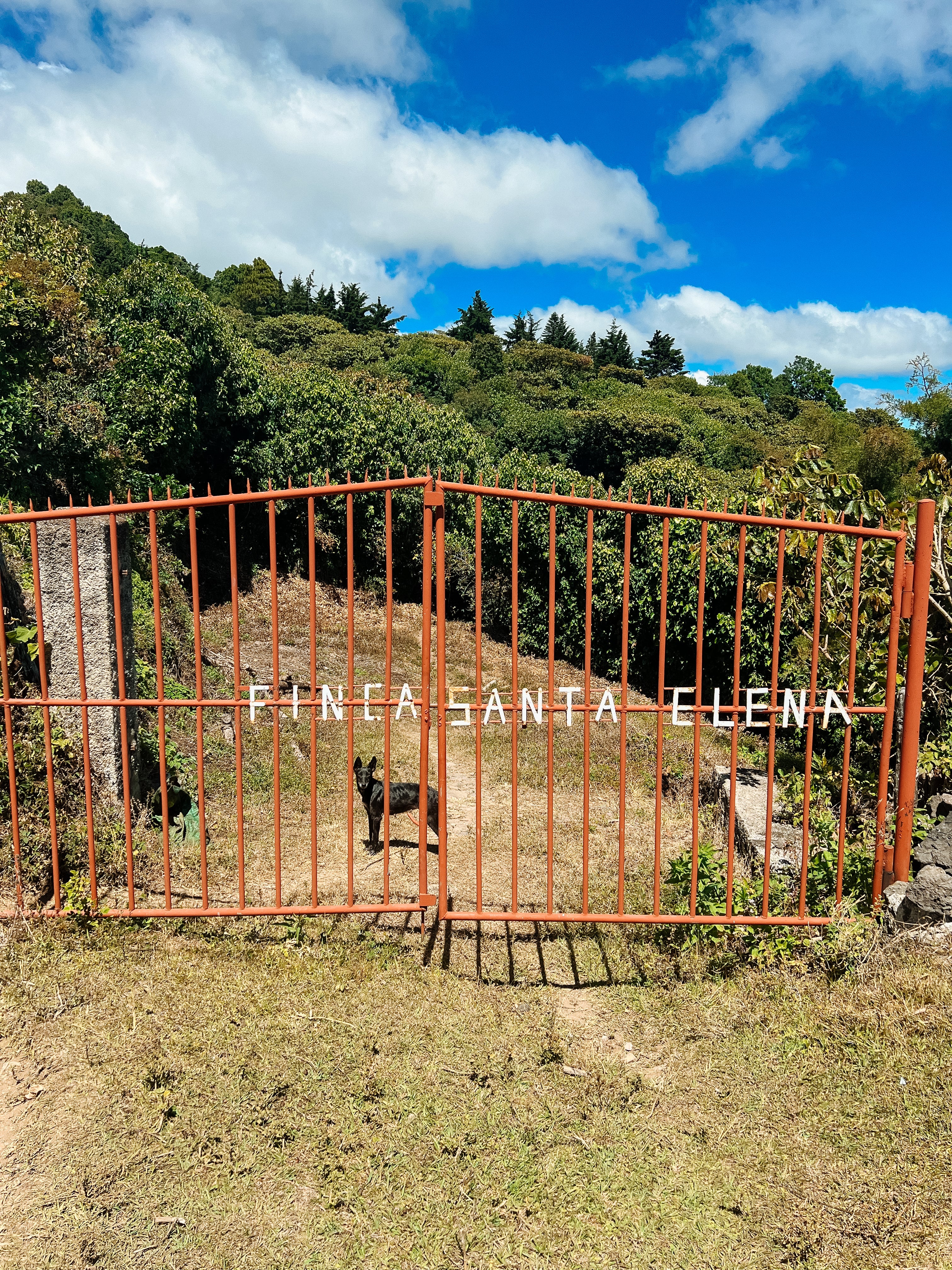 Finca Santa Elena - Image 4