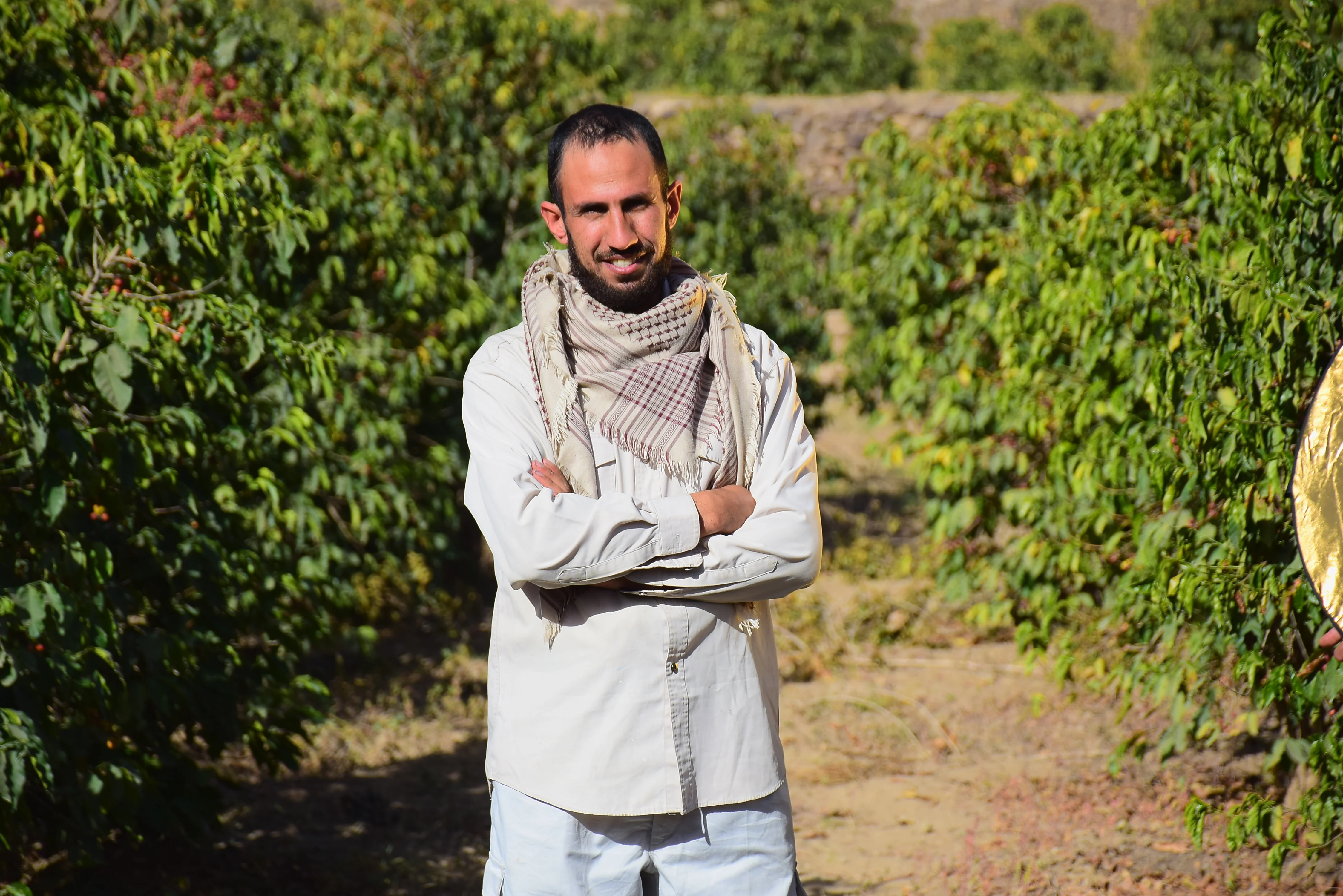 Hassan Assalol - Natural Sundried **SOLD OUT** - Image 5