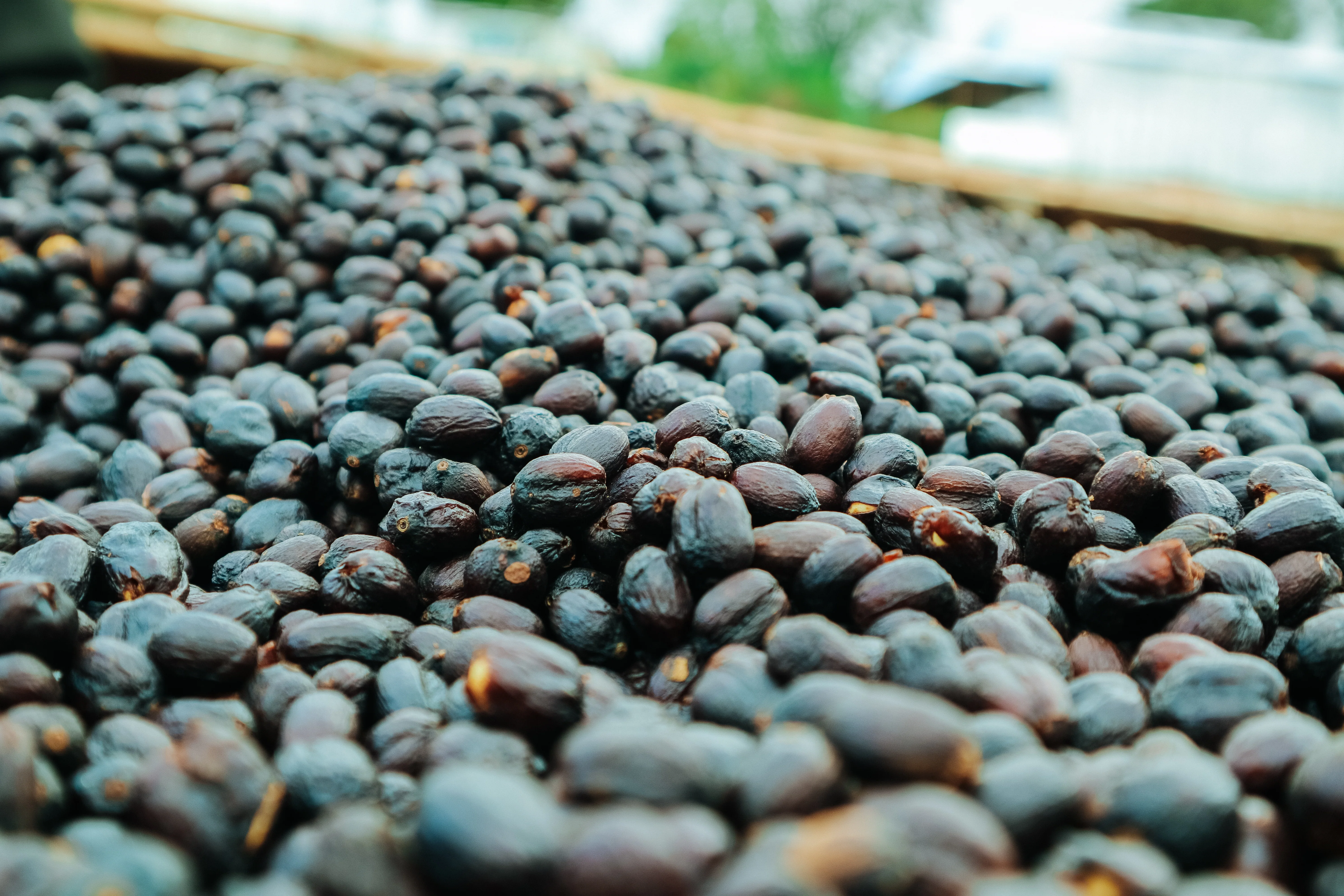 Okoluu – Natural Sundried - Image 3